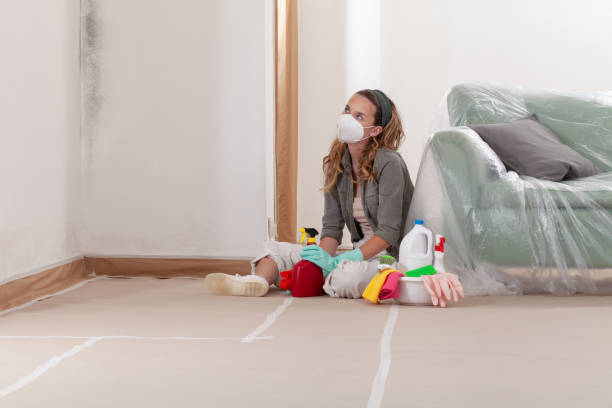 Reliable Mold Remediation contractor in Markham, VA by WQB Mold Removal